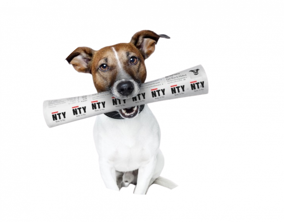 Perro de NTY con un periódico en la boca. Imagen de ofertas de trabajo.